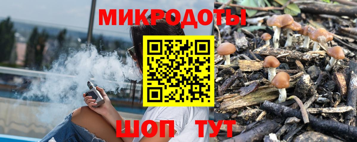 Псилоцибиновые грибы прущие грибы Саянск