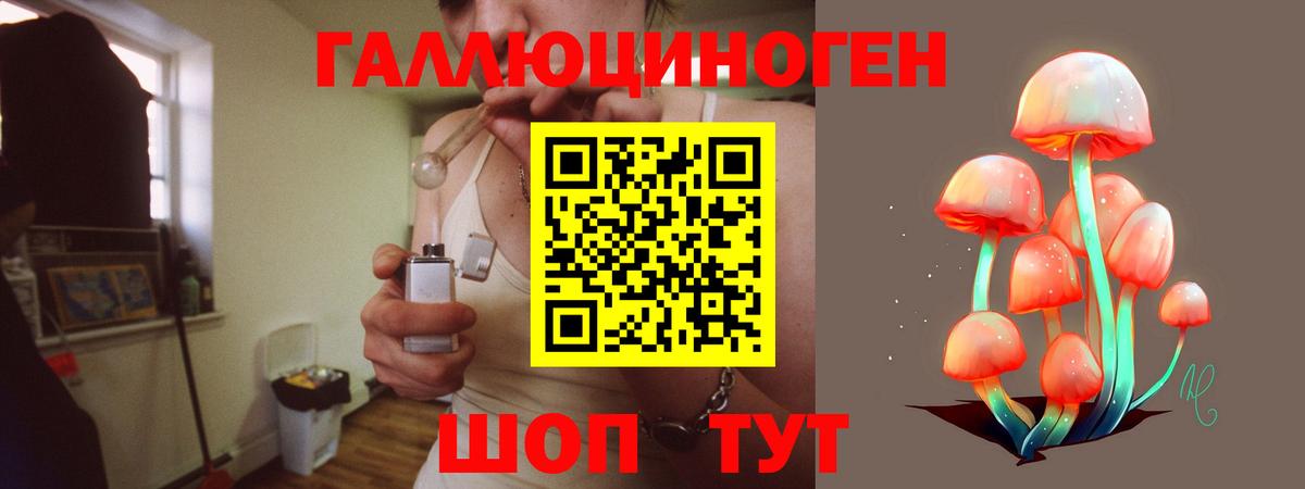 Псилоцибиновые грибы MAGIC MUSHROOMS  Галлюциногенные грибы GOLDEN TEACHER  Саянск  Вход с VPN 
